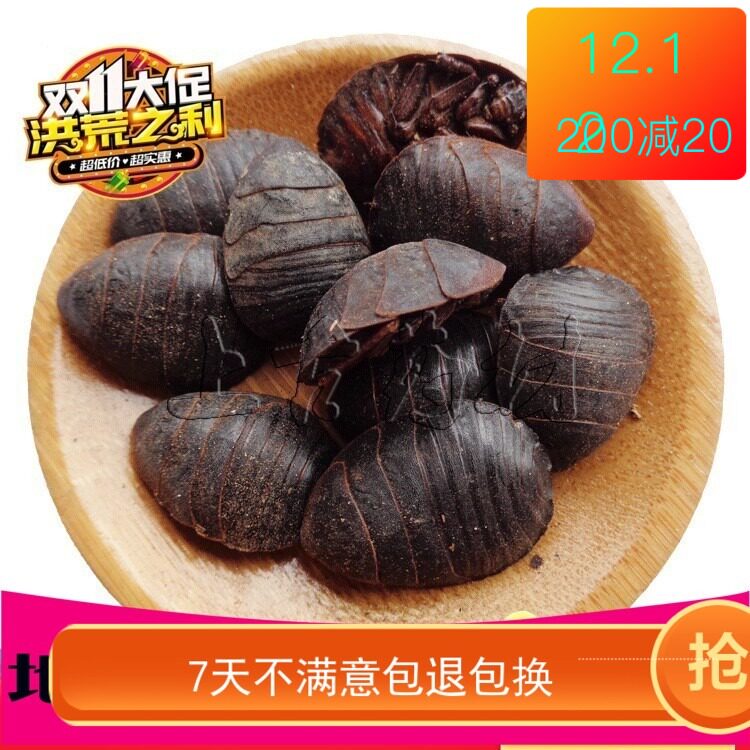 Soil yuan Chinese herbal medicines dry soil yuan soil turtle worm soil turtle seed soil yuan powder soil yuan dry soil yuan 500 grams