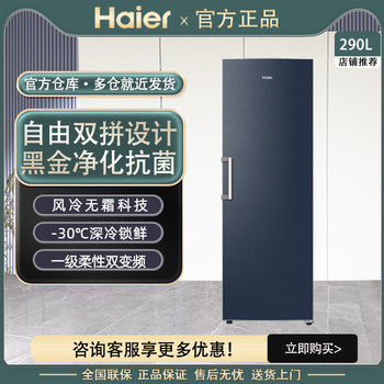 Haier Bd-290Wghegdb9 European Style Air-Cooled Vertical Freezer Refrigerated Freezer Drawer