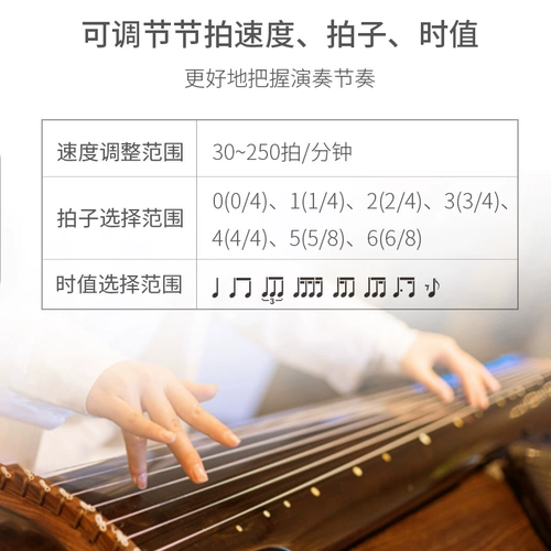 Guzheng Pipa, Pipa, Ruan Guqin Music Professional Universal Authent