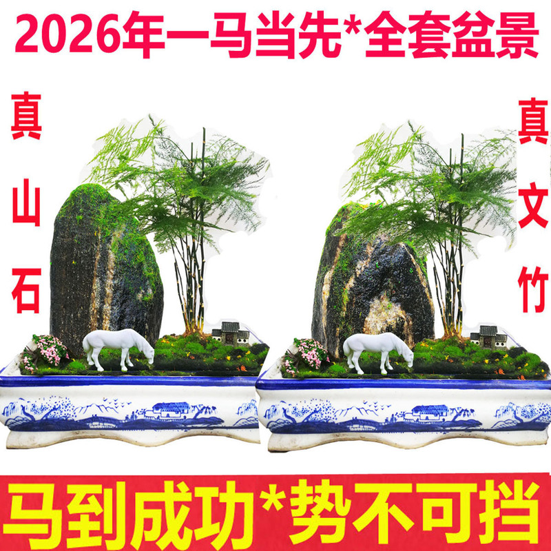 Authentic Stone Guan Gong Bonsai for Immediate Success, Natural Stone Ornament for Home, Office, Entrance, Living Room, and Tai Shan Bamboo Decoration