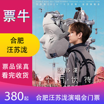 (Hefei) Wang Sulongs 2024 One Hundred Thousand Volts Tour Concert Tickets