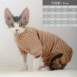 Сфинкс Котята Девон одежда Эластичная Добродетель нижней куртки