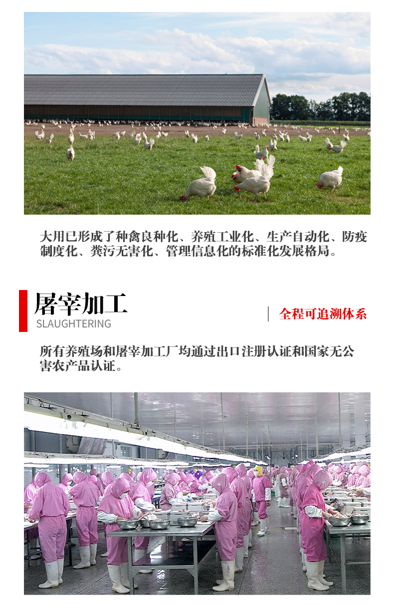 肯德基供应商 大用好味道 新鲜单冻鸡大胸肉 2斤 图3