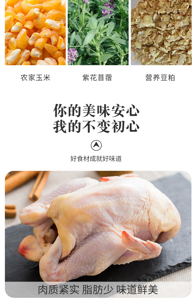 国家重点企业 大用 农家散养走地鸡 670g*4只 图4