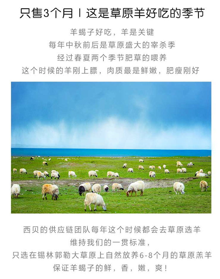 西贝莜面村 香辣羊蝎子火锅 1750g 加热即食 图6
