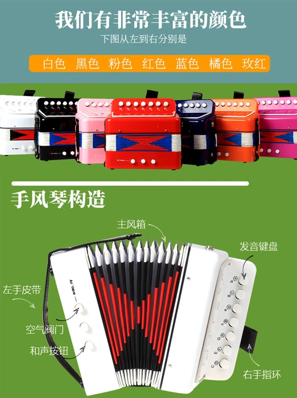 Trẻ em Accordion Đồ chơi Nhạc cụ 3-6 Người mới bắt đầu Âm nhạc Học sớm Câu đố Con gái Quà tặng Hướng dẫn