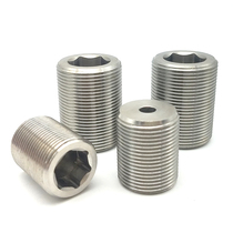 Nickel plated adjustment screw LVWM (LVWFM) 12 16 16 20 24 30