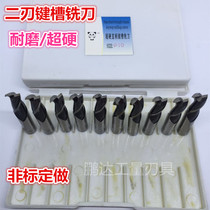 Panda Milling Cutter High Speed Steel Two Blades Straight Shank Keyway Milling Cutter Two Blades White Steel Milling Cutter 2 3 4 5 6 8 10 20