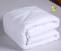 Head Wash Bed Quilt New Beauty Quilt Cover Core Single Quilt With Small Cotton Quilted Bed Foot Bath Thickened Warm Beauty Quilt