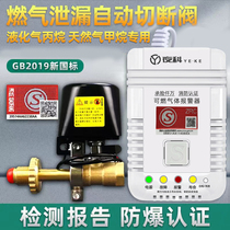 Gas leak alarm gas liquefied petroleum gas automatic shut-off valve catering commercial hotel natural gas gas leak