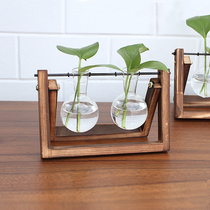 Creative hydroponic green plant transparent glass vase simple modern living room office desktop ornaments flower Ware