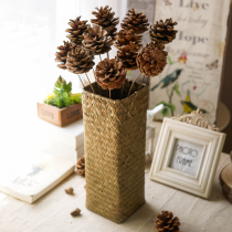 Natural pine fruit dried flower iron flower pole pine nut pine fruit flower shooting retro natural auxiliary props dry branches