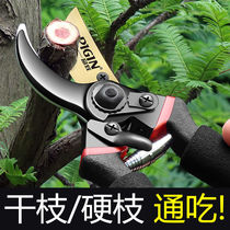 Germany imports rough branches pruning shears gardening pruning branches landscaping labor-saving prunes for home strength