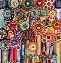 American CFA cat competition award flower American cfa regular field CAT Award flower referee with signature CFA award flower