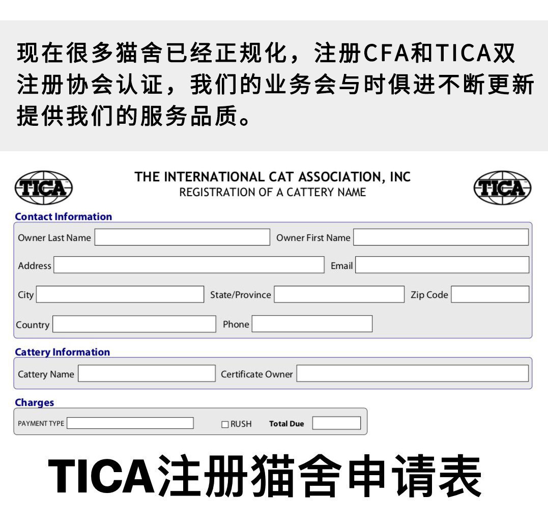 [USD 18.66] TICA blood certificate TICA cat certificate TICA