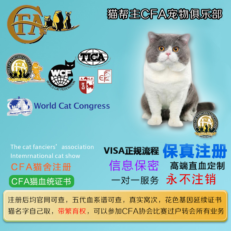 [USD 33.39] Registration CFA Cat Certificate USA CFA Cat House