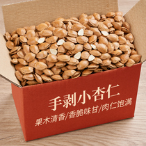 Small ginkgo kernels 500g apricot kernels hand-peeled open white apricot creamy nuts dried fruit roasted dormitory snacks specialty