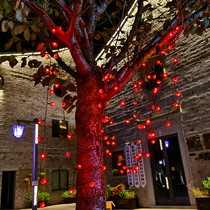 Upper waterproof outdoor arrangement of small red lantern with led lamp solar lantern string festoons New Year Courtyard Hanging Trees