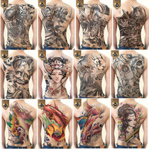 Full back tattooed with male mold board big picture and text body patch waterproof male carp Zhao Yun Kowloon lacoffin coffin on three sides fo guan Gong
