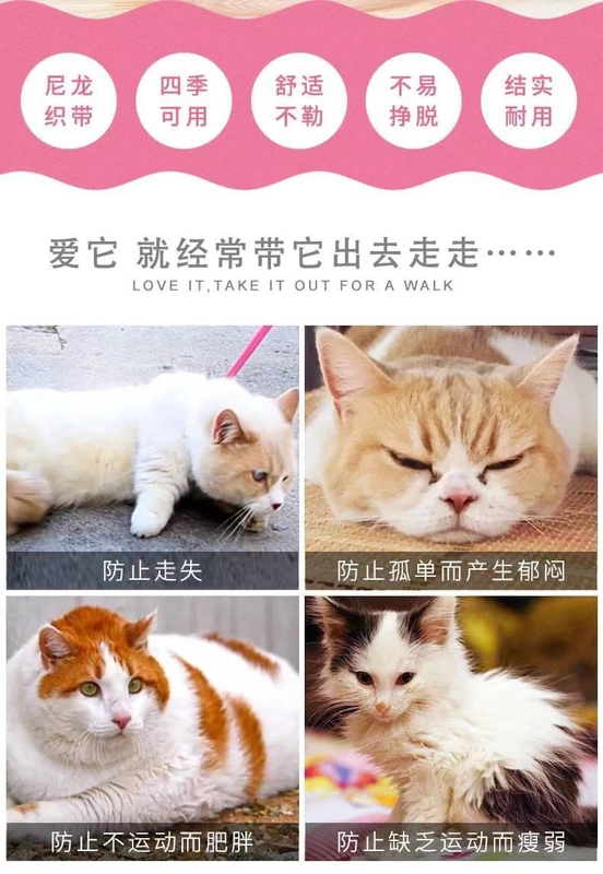 Cat dây xích trơn trượt mèo dây xích chó vest phong cách phá vỡ miễn phí mèo chó chuỗi dây cổ áo vật nuôi cần thiết hàng ngày - Cat / Dog hàng ngày Neccessities