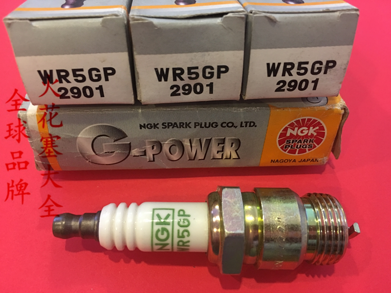 Pure Japanese imported NGK spark plug WR5GP EQ491 engine dedicated WR5GP NGK