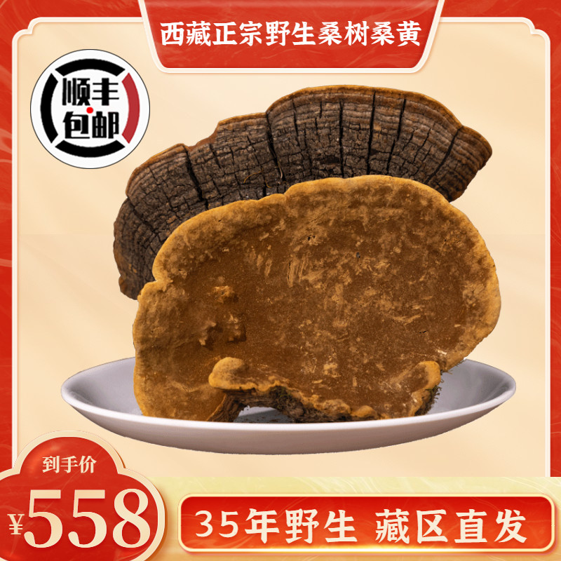 Tibet Wild Sauna Huang Wild Sunhuang Tibet Linzhi Special Production