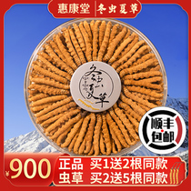 Caterpillar Fungus flagship store Caterpillar Fungus 50 gr Fresh Winter Caterpillar Fungus Dry Goods Delivered Gift Canon 10 Kli Box Courtesy Kit