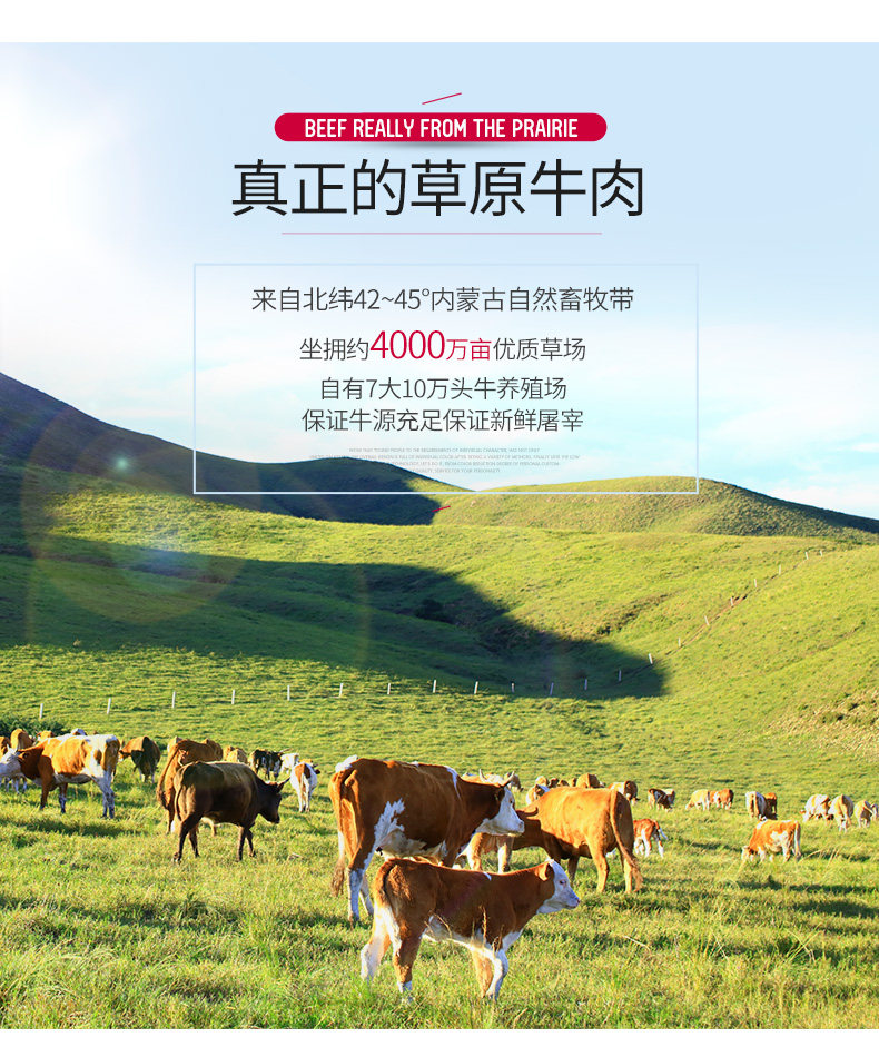 奥运会供应商 科尔沁 冷冻肥牛卷 500g*3袋 图8