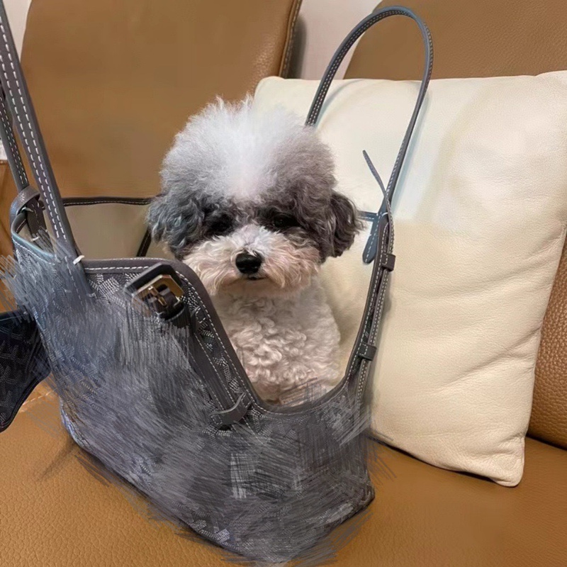 Trendy Pet Carrier Bag for Dogs and Cats, Maltese, Teddy, Small Dogs, Portable Pet Bag for Outings