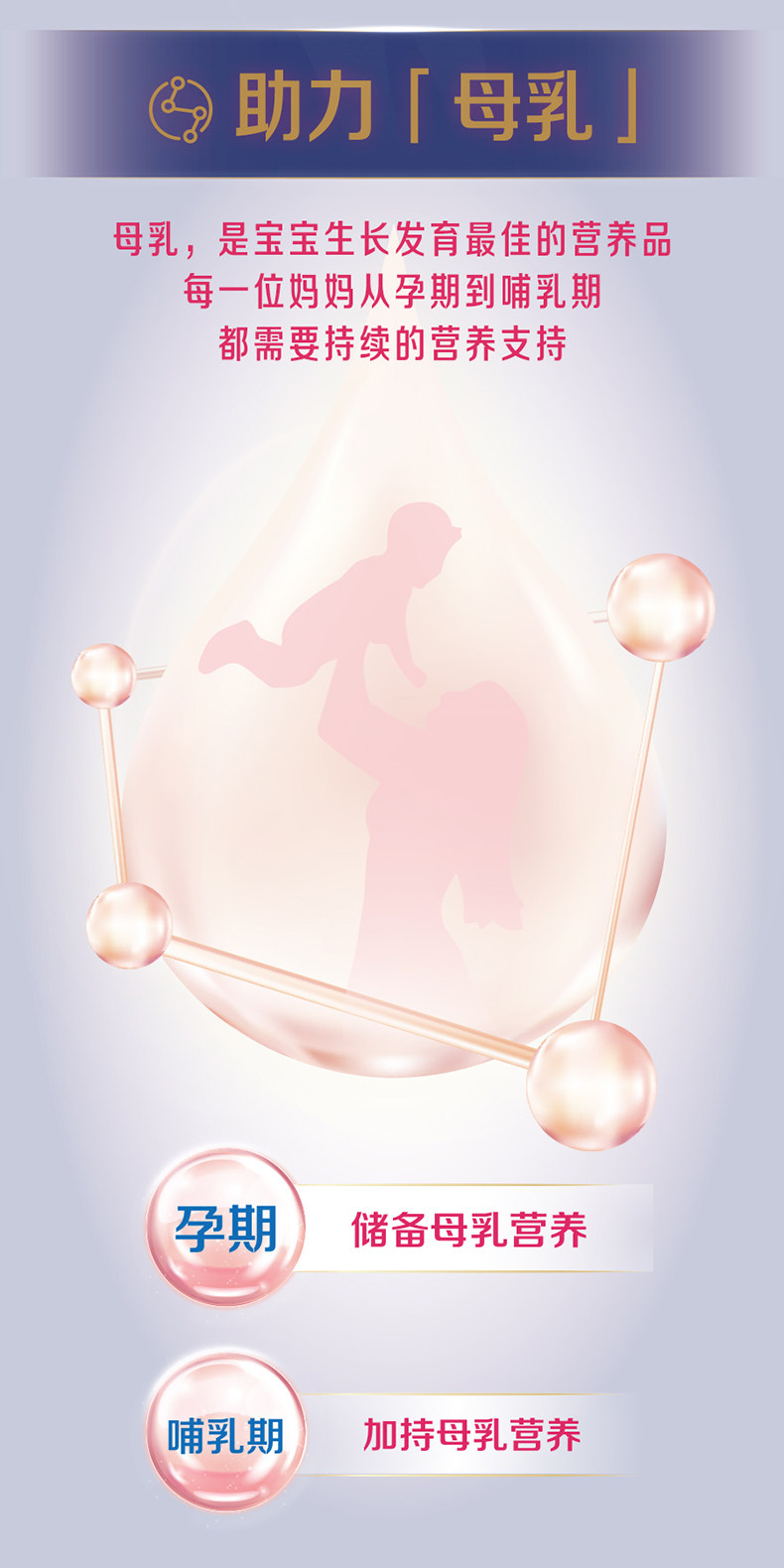 【官方旗舰店】飞鹤星蕴孕妇奶粉怀孕早中晚期含DHA奶粉700g*1罐 — 8