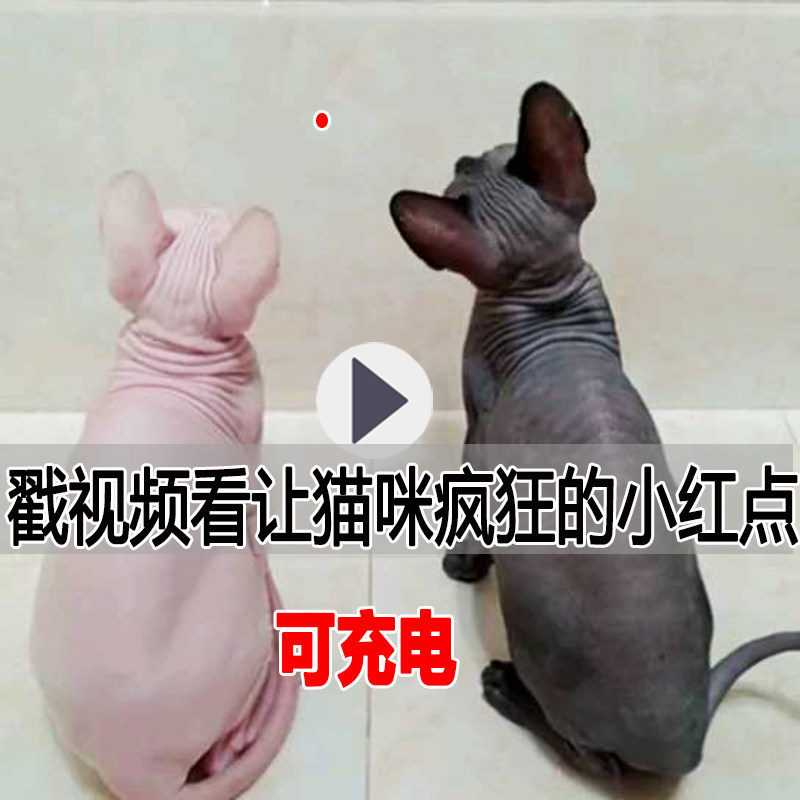 Laser teasing cat stick small red dot laser teasing cat pen infrared dog cat toy cat artifact usb charging