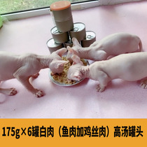 Birus Cat House Custom Chicken Silk Fish White Meat High Soup Cans 175g × 6 cans