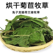 Baked dandelion hay Chicory plantain forage 50g Rabbit grass Rabbit Chinchilla Dutch pig eat forage