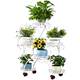 Movable European iron fixed flower stand for balcony living room rack indoor storage shape rack pothos hanging orchid rack