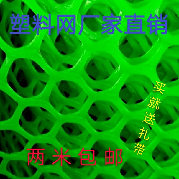 Green Plastic Flat Mesh Breeding Grid Beekeeping Beekeeper cultured duck and goose raised chicken fence net balcony protective net