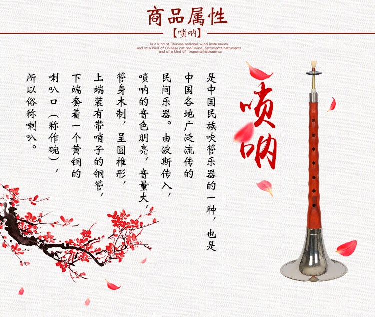 Người mới bắt đầu bằng gỗ gụ mun mun dụng cụ pipa đầy đủ của mục nhập D giới thiệu size kích thước người lớn quốc gia sáo tiêu
