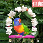 Mới mực nang xương đu chim budgie swing đồ ăn nhẹ cắn chơi đồ chơi cung cấp canxi - Chim & Chăm sóc chim Supplies