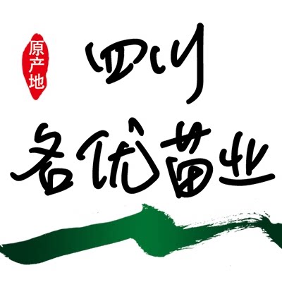 四川名优苗业