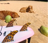 [Носки доставки] Пьяная обезьяна 3 плавники импортированный капитан капитан