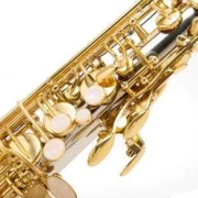 Nhạc cụ phương Tây đồng trắng khắc alto saxophone xuống E điều chỉnh FAS-796 kiểm tra thực hành người lớn