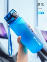 Простая и синяя 800 мл [сломанная и новая+гарантия на всю жизнь]