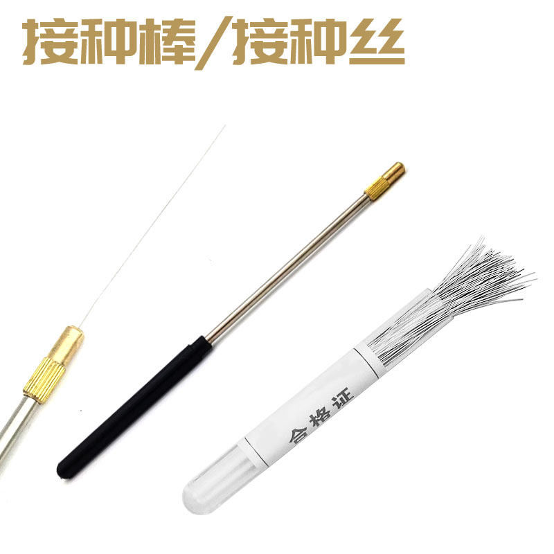 镍铬丝接种丝/铜制接种棒（配套使用）镍铬丝接种针 100只/筒