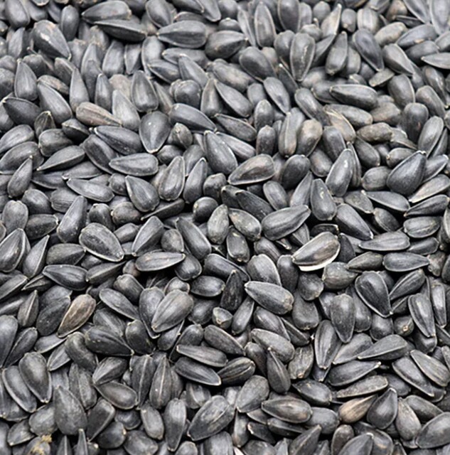 ອາຫານນົກ 1 pound black pearl melon melon seed sunflower seed oil sunflower seed bird food hamster snacks bird food ສົ່ງຟຣີໃນຫລາຍແຂວງ