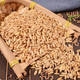 ມາໃຫມ່ oats kernel 5 pounds free shipping bird food black gold sun peony phoenix feed oats rice brome bird food
