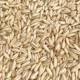 Oats, ເຂົ້າ, ອາຫານນົກ, brome, wheat ປ່າທໍາມະຊາດ, oats, ຜິວຫນັງເສືອ, peony, ອາຫານນົກລົມສີດໍາ, ອາຫານກາງແກ, ສົ່ງຟຣີ