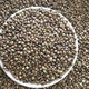ມາໃຫມ່, ເມັດ hemp granular, ແກ່ນ hemp, ແກ່ນ hemp, ອາຫານ parrot ສັດລ້ຽງ, ອາຫານນົກກາງແກ, ການໃຫ້ອາຫານນົກ, ເມັດ hemp, ເມັດ hemp
