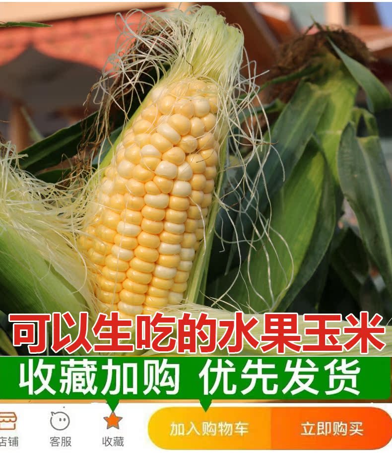 云南新鲜水果玉米包邮带箱10斤