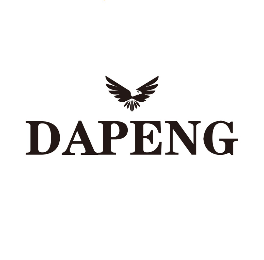 DAPENG轻奢国贸店