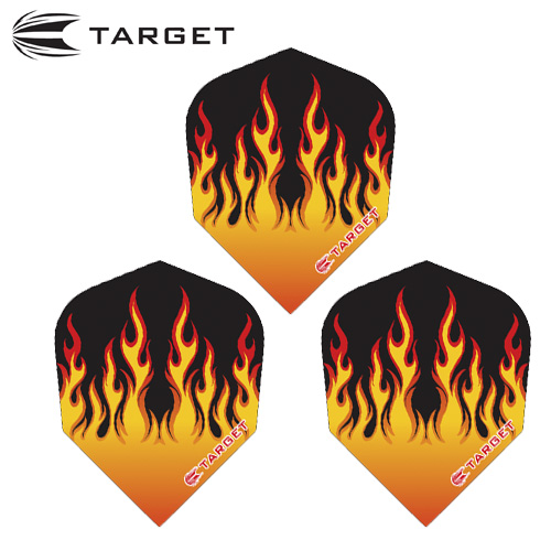 TARGET PRO 100 FLIGHT No 6 Professional Dart Wing