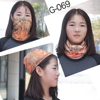 G069